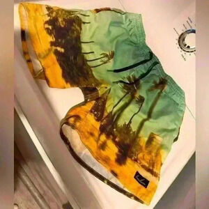 Vintage One of a kind Skater shorts street style pacsun Journeys